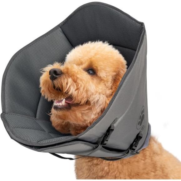 Dog Cone for After Surgery, Soft Dog Cone, Adjustable Recovery Collar (M) - Picture 1 of 6